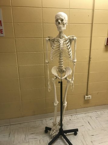 Science department to debut new course next year