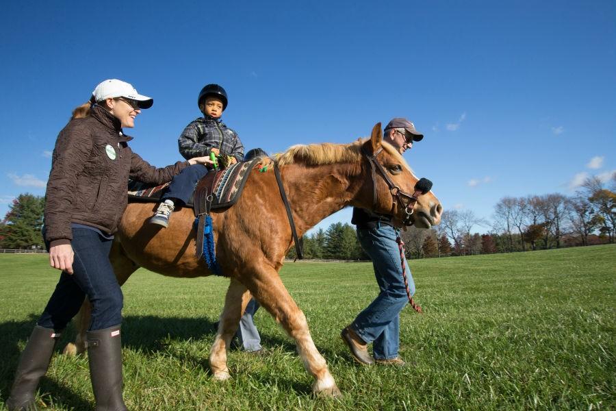 Hippotherapy provides variety of physical, emotional benefits