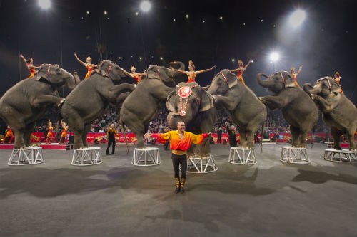 Ringling Brothers Circus takes final bow