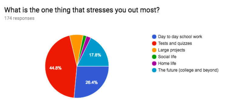 causes of stress in college students essay