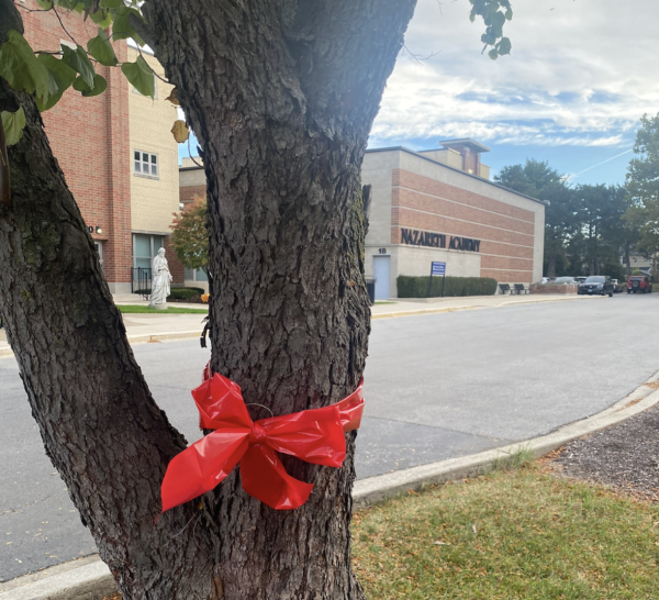 The trees in front of Nazareth display red ribbons for Red Ribbon Week.                                                
